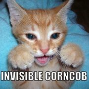 InvisibleCorncob